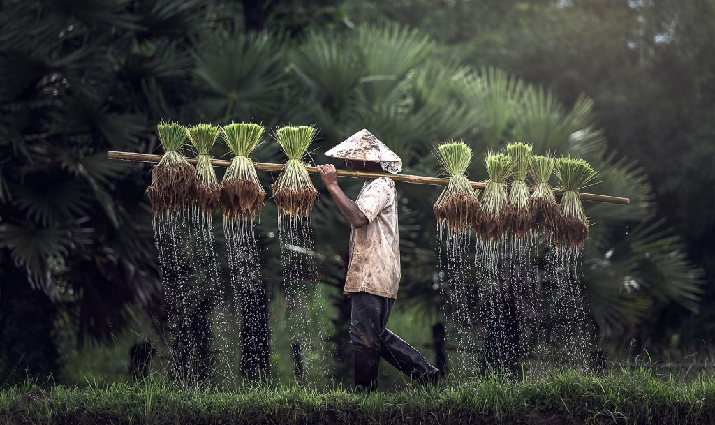 Traditions Thailandaises